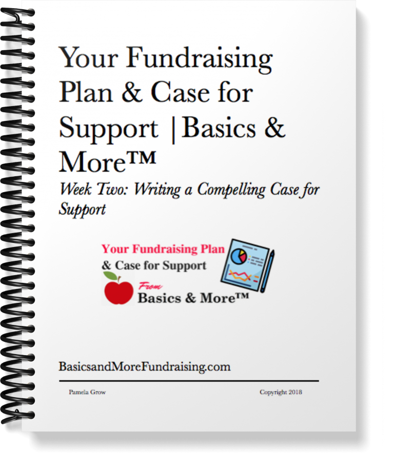 Fundraising Plan And Case For Support Basics And More Fundraising   FundraisingPlanBinder 768x925 